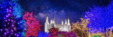 Load image into Gallery viewer, Washington DC Temple Christmas Lights