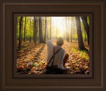Load image into Gallery viewer, First Vision, Joseph Smith