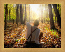 Load image into Gallery viewer, First Vision, Joseph Smith