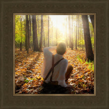 Load image into Gallery viewer, First Vision, Joseph Smith