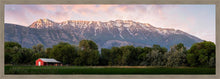 Load image into Gallery viewer, The Red Barn