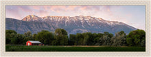 Load image into Gallery viewer, The Red Barn