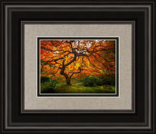 Load image into Gallery viewer, Tree of Perspective