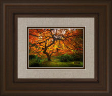 Load image into Gallery viewer, Tree of Perspective