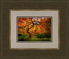 Load image into Gallery viewer, Tree of Perspective