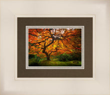 Load image into Gallery viewer, Tree of Perspective