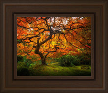 Load image into Gallery viewer, Tree of Perspective