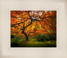 Load image into Gallery viewer, Tree of Perspective