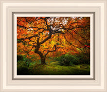 Load image into Gallery viewer, Tree of Perspective