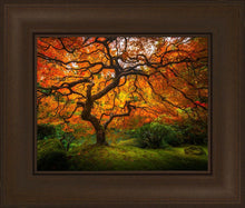 Load image into Gallery viewer, Tree of Perspective