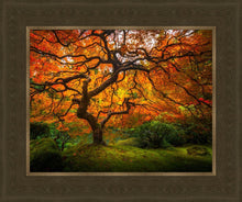 Load image into Gallery viewer, Tree of Perspective