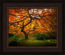 Load image into Gallery viewer, Tree of Perspective