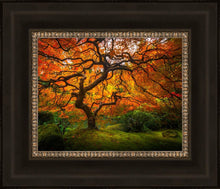 Load image into Gallery viewer, Tree of Perspective
