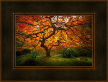 Load image into Gallery viewer, Tree of Perspective
