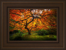 Load image into Gallery viewer, Tree of Perspective