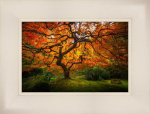 Load image into Gallery viewer, Tree of Perspective