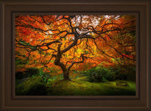 Load image into Gallery viewer, Tree of Perspective