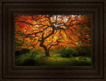 Load image into Gallery viewer, Tree of Perspective