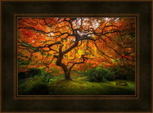Load image into Gallery viewer, Tree of Perspective