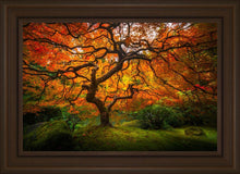Load image into Gallery viewer, Tree of Perspective