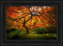 Load image into Gallery viewer, Tree of Perspective