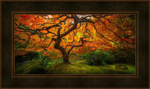 Load image into Gallery viewer, Tree of Perspective