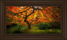 Load image into Gallery viewer, Tree of Perspective