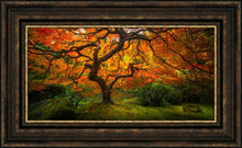 Load image into Gallery viewer, Tree of Perspective