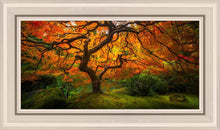 Load image into Gallery viewer, Tree of Perspective