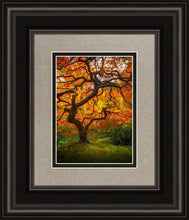 Load image into Gallery viewer, Tree of Perspective Vertical