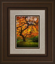 Load image into Gallery viewer, Tree of Perspective Vertical