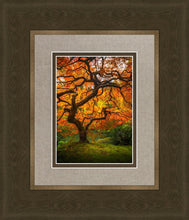 Load image into Gallery viewer, Tree of Perspective Vertical
