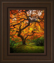 Load image into Gallery viewer, Tree of Perspective Vertical
