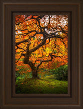 Load image into Gallery viewer, Tree of Perspective Vertical