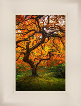 Load image into Gallery viewer, Tree of Perspective Vertical