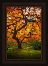 Load image into Gallery viewer, Tree of Perspective Vertical