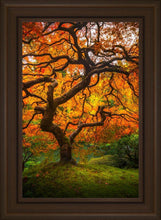 Load image into Gallery viewer, Tree of Perspective Vertical