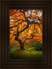 Load image into Gallery viewer, Tree of Perspective Vertical