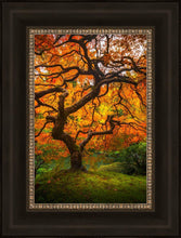 Load image into Gallery viewer, Tree of Perspective Vertical