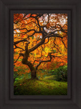 Load image into Gallery viewer, Tree of Perspective Vertical