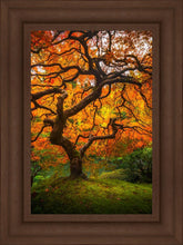 Load image into Gallery viewer, Tree of Perspective Vertical