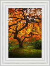 Load image into Gallery viewer, Tree of Perspective Vertical