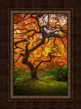 Load image into Gallery viewer, Tree of Perspective Vertical