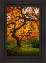 Load image into Gallery viewer, Tree of Perspective Vertical