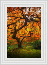 Load image into Gallery viewer, Tree of Perspective Vertical