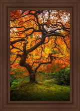 Load image into Gallery viewer, Tree of Perspective Vertical