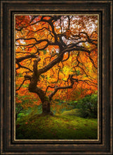Load image into Gallery viewer, Tree of Perspective Vertical