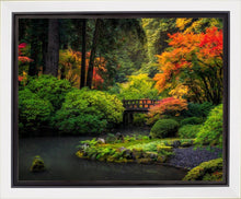 Load image into Gallery viewer, Garden Bridge