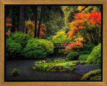 Load image into Gallery viewer, Garden Bridge
