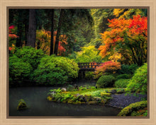 Load image into Gallery viewer, Garden Bridge